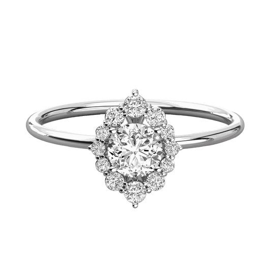 1.00 TCW Round Cut Halo Moissanite Ring for Women